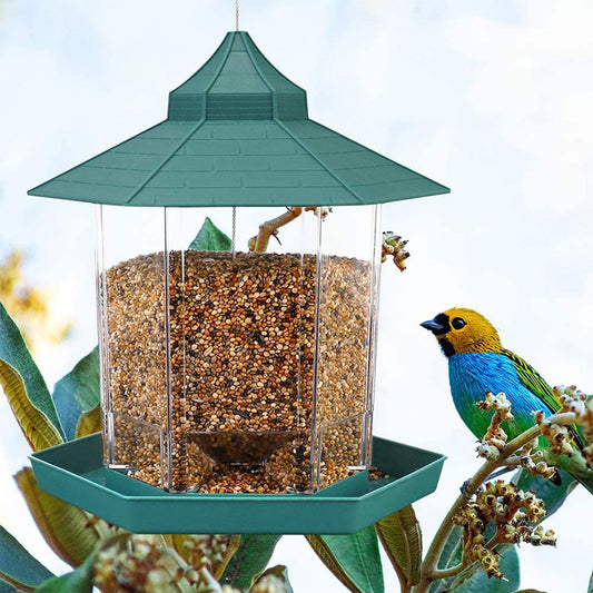 XL Hanging Bird Feeder – Large Plastic Outdoor Garden Feeder with Lanyard Rope (Green)