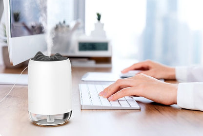 Refillable Mini USB Atomizer – Portable Air Humidifier for Home and Travel