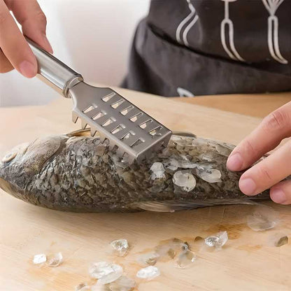 Fish Scale Remover Scraper &amp; Cutter – Stainless Steel Kitchen Scaler Tool (Pack of 2)